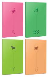 4lü Burç-Astroloji Temalı 13,5x19,5cm 64 Sayfa Çizgisiz Defter Seti -9
