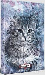 Asil Kedi - Planlama Defteri