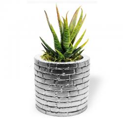 Betigo Duvar Desenli Beton Sukulent Saksısı Gümüş HK1540-G