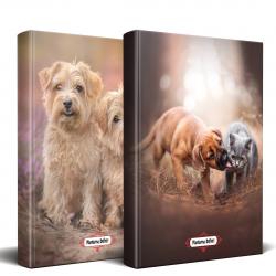 Beyaz İkili - Can Dostlar Planlama Defteri Seti