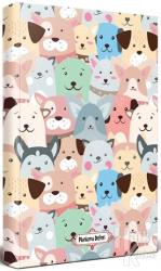 Dost Kulaklar - Planlama Defteri