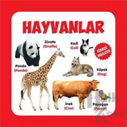Hayvanlar Karton Kitaplar