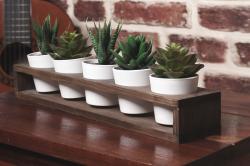 5'li Ahşap Sukulent Standı HK0211