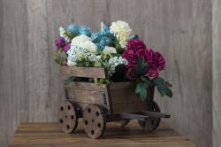 Küçük Geçme Kağnı Çiçeklik HK0336