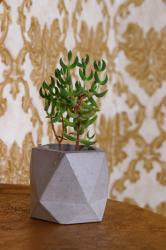 HK Dekor Lia Beton Saksı