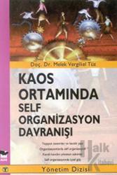 Kaos Ortamında Self Organizasyon Davranışı