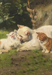 Kedi Ailesi 13,5x19,5cm Çizgili Defter 128 Sayfa