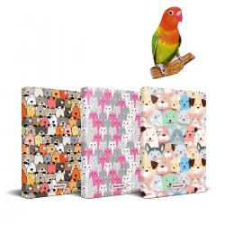 Kedi Temalı Planlama Defteri Seti - 3 Defter ve Sevimli Hayvan Magnet Set 2