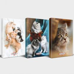 Kedili Defter Seti - 3 Defter V2