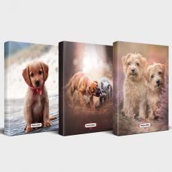 Köpek Temalı Defter Seti 3'lü v2