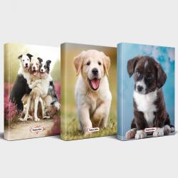 Köpek Temalı Defter Seti 3'lü v3