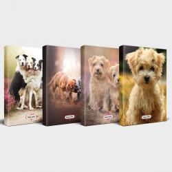 Köpek Temalı Defter Seti 4'lü v3