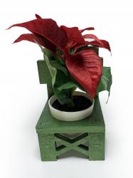 Lora Sandalye Çimen Yeşili Çiçeklik HK0214-221