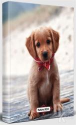 Masum Köpek - Süresiz Planlama Defteri