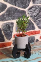 Mia H Standlı Küçük Silindir Beton Saksı HK1511