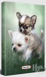 Minik Dostlar - Süresiz Planlama Defteri