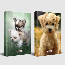 Köpek Temalı Defter Seti Minik Arkadaş ve Masum Köpekcik