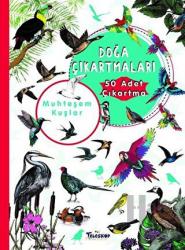 Muhteşem Kuşlar Doğa Çıkartmaları