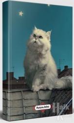 Pamuk - Planlama Defteri