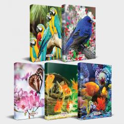 Sevimli Hayvanlar Defter Seti 5'li v1