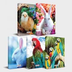 Sevimli Hayvanlar Defter Seti 5'li v2