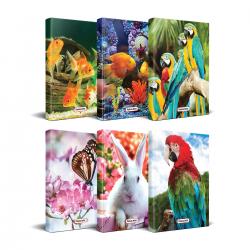 Sevimli Hayvanlar Planlama Defteri Seti - 6 Defter