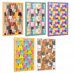 Sivri Kulaklar 5li 64 Sayfa Çizgili Okul Defteri Seti -1