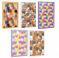 Sivri Kulaklar 5li 64 Sayfa Çizgili Okul Defteri Seti -3