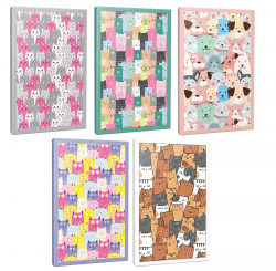 Sivri Kulaklar 5li 64 Sayfa Çizgili Okul Defteri Seti -6