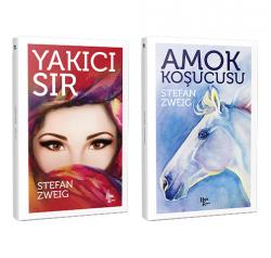 Stefan Zweig 2 Kitap Bir Arada -7