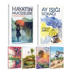 Stefan Zweig 2 Kitap Bir Arada ve 4 Defter -14