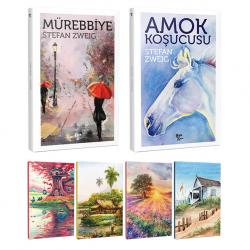 Stefan Zweig 2 Kitap Bir Arada ve 4 Defter -6