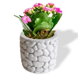 Taş Desenli Beton Saksı HK1625