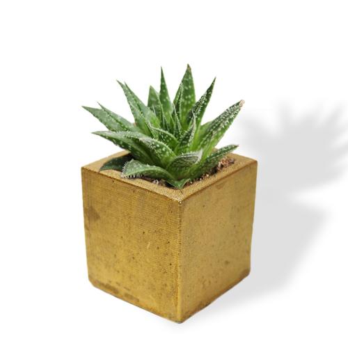 Kare Beton Saksı Altınvaraklı - Halkkitabevi