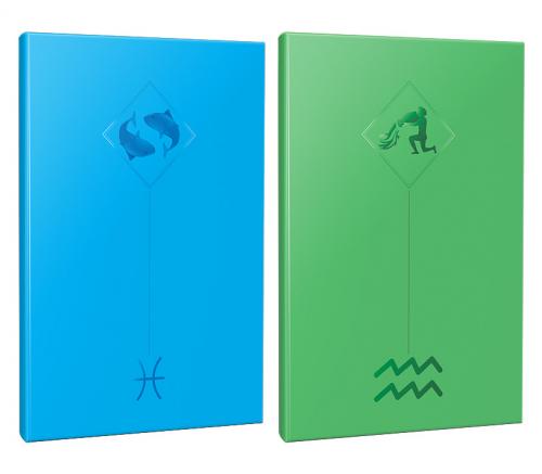 2li Burç-Astroloji Temalı 13,5x19,5cm 64 Sayfa Çizgisiz Defter Seti -8