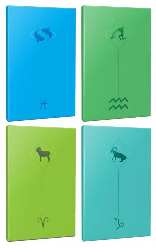 4lü Burç-Astroloji Temalı 13,5x19,5cm 64 Sayfa Çizgisiz Defter Seti -7