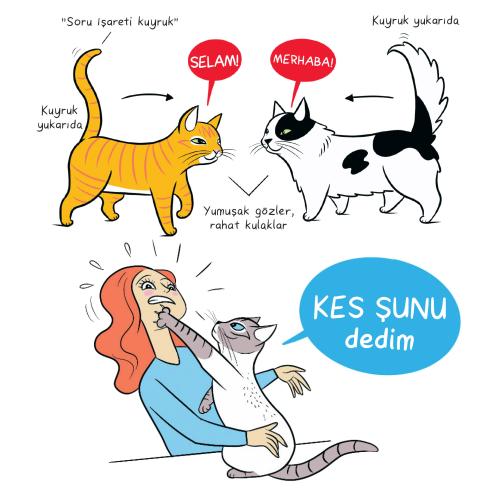 Kedi Dili ve Köpek Dili - Kartpostal - Ayraç - Aşı Takip Kartı - İkili