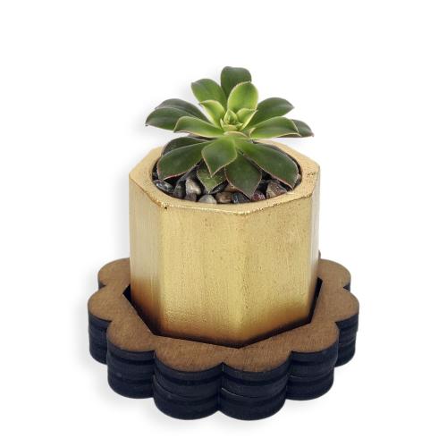 Ahşap Ayaklı 6gen Beton Saksı Altın Model 2 - Halkkitabevi