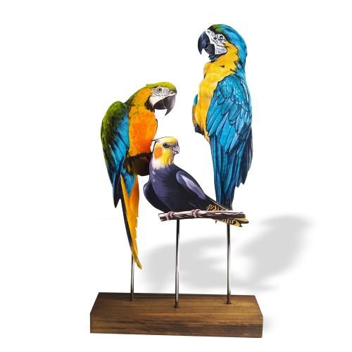 Ahşap Ayaklı Renkli Kuşlar Model 5 - Halkkitabevi