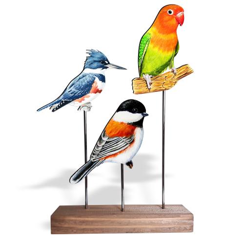 Ahşap Ayaklı Renkli Kuşlar Model 4 - Halkkitabevi