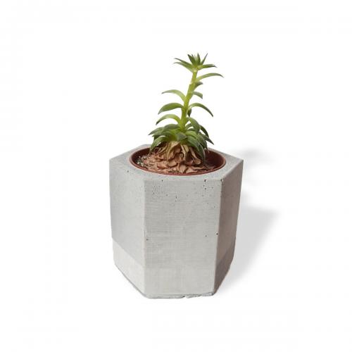Altıgen Silindir Beton Saksı - Büyük Boy - Halkkitabevi