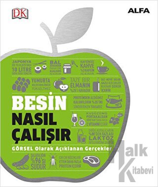 Besin Nasıl Çalışır (Ciltli)