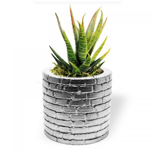 Betigo Duvar Desenli Beton Sukulent Saksısı Gümüş