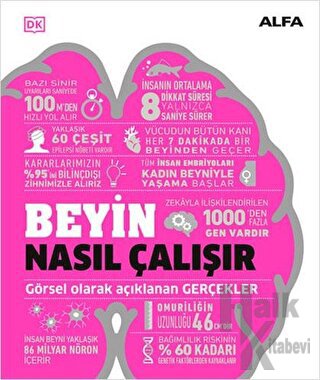 Beyin Nasıl Çalışır (Ciltli)