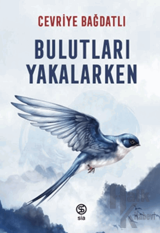 Bulutları Yakalarken