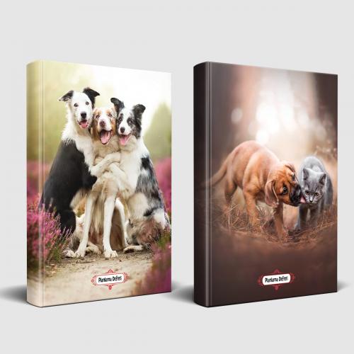 Köpek Temalı Defter Seti Can Dostlar ve Neşeli Dostlar