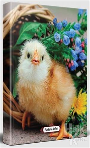 Civciv - Süresiz Planlama Defteri