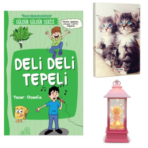 Deli Deli Tepeli - Maviş Kediler Planlama Defteri ve Melek Kız Temalı Fener Tipi Işıklı Kar Küresi