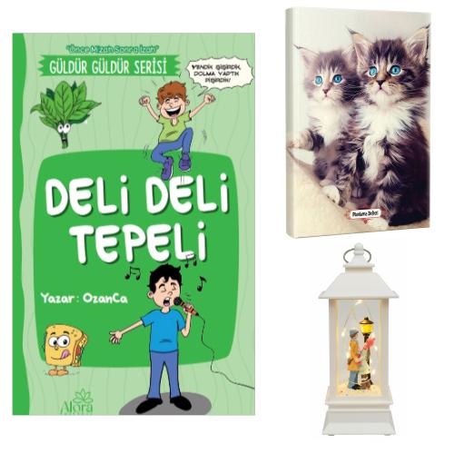 Deli Deli Tepeli - Maviş Kediler Planlama Defteri ve Sokak Lambalı Aşk Fener Tipi Işıklı Kar Küresi