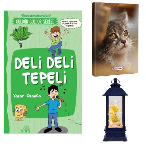 Deli Deli Tepeli - Minik Kedi Planlama Defteri ve Küçük Prens Temalı Fener Tipi Işıklı Kar Küresi